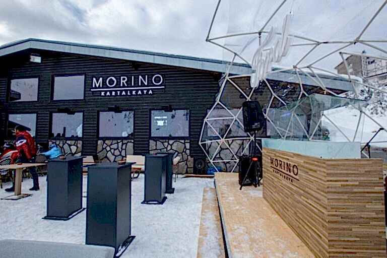 Morino